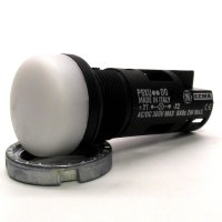 White Pilot Light, General Electric P9XUBDD0